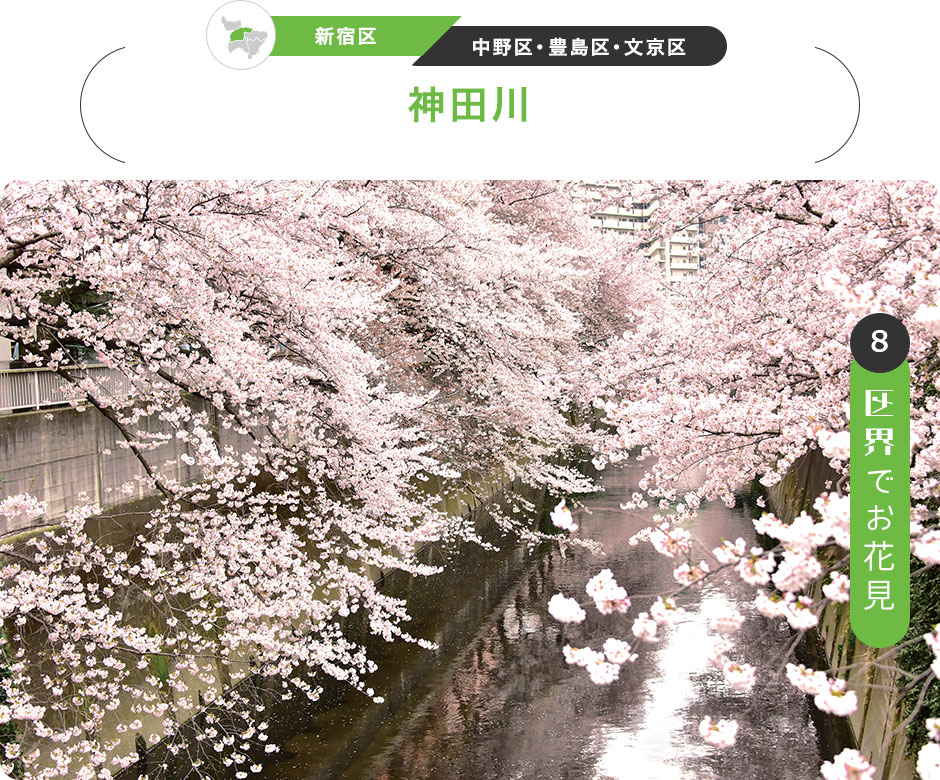8：区界でお花見　［新宿区／中野区・豊島区・文京区］神田川