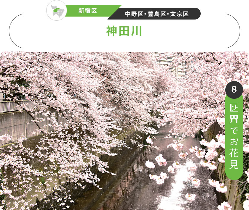 8：区界でお花見　［新宿区／中野区・豊島区・文京区］神田川